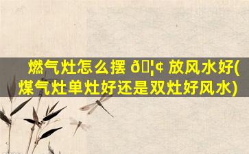 燃气灶怎么摆 🦢 放风水好(煤气灶单灶好还是双灶好风水)